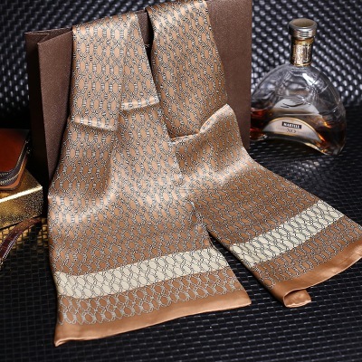 Echarpe élégante en satin pour hommes