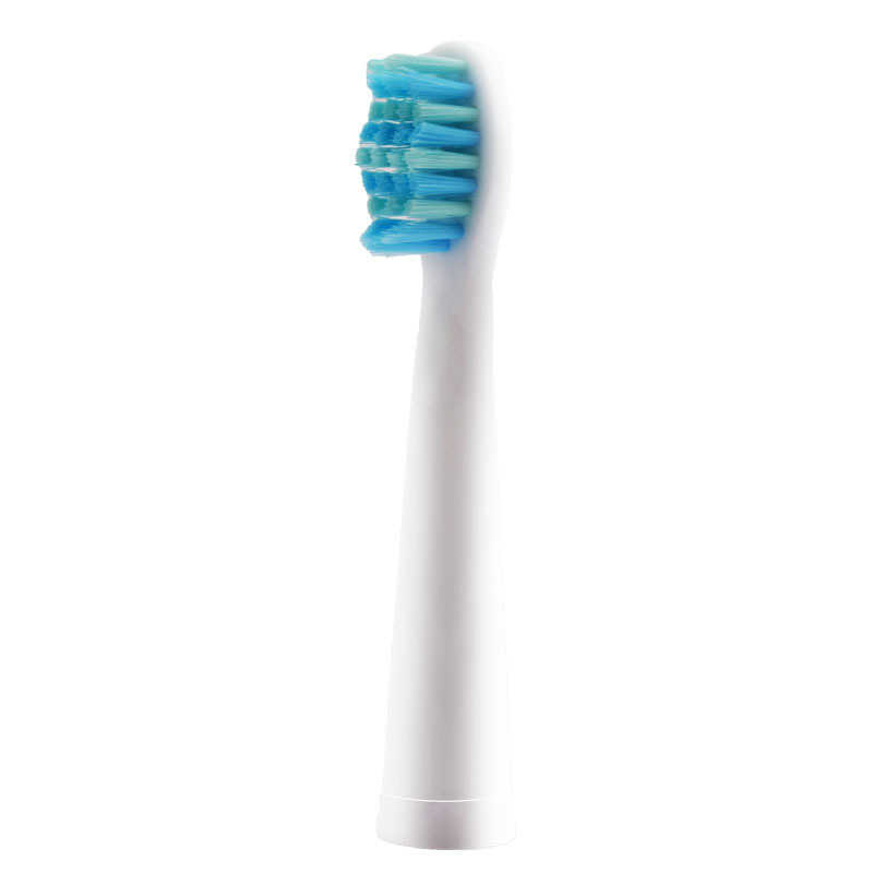 5 pièces/1pc. Têtes de rechange de brosses à dents universelles convient à toutes les marques de brosses à dents