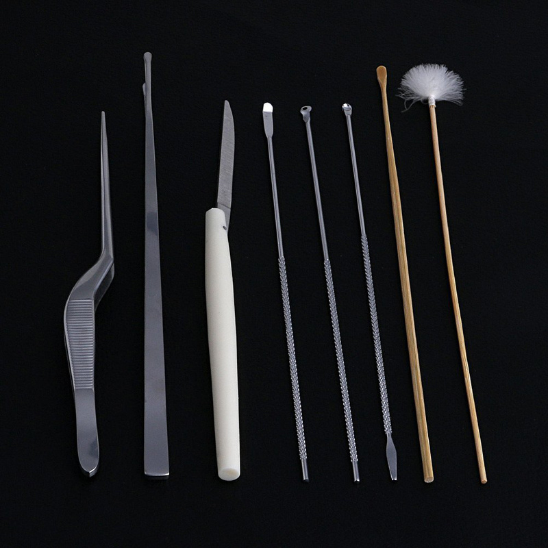 Coffret d'outils de nettoyage d'oreilles. Ensemble d'outils de nettoyage d'oreilles – Image 2