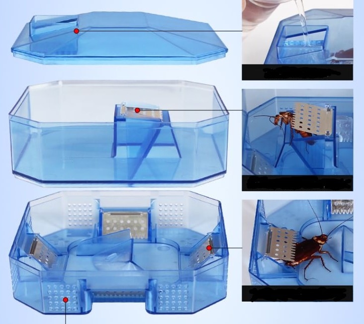 Grand piège à cafards à usage domestique et industrielle – Image 2