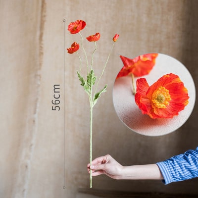 Présentoir de cou portrait – Image 8