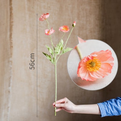 Présentoir de cou portrait – Image 10