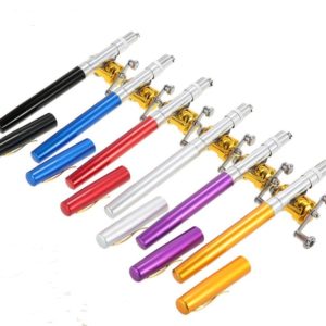 Mini canne à pêche pour eaux douces