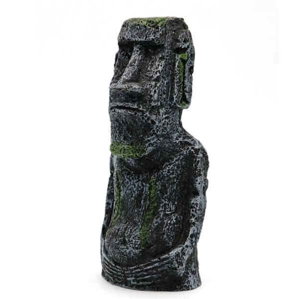 Portrait romain antique. Accessoires pour aquarium – Image 2