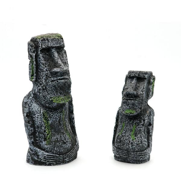 Portrait romain antique. Accessoires pour aquarium