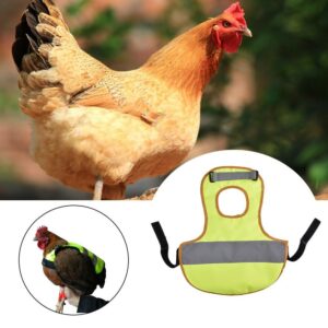 Gilet réfléchissant pour volailles