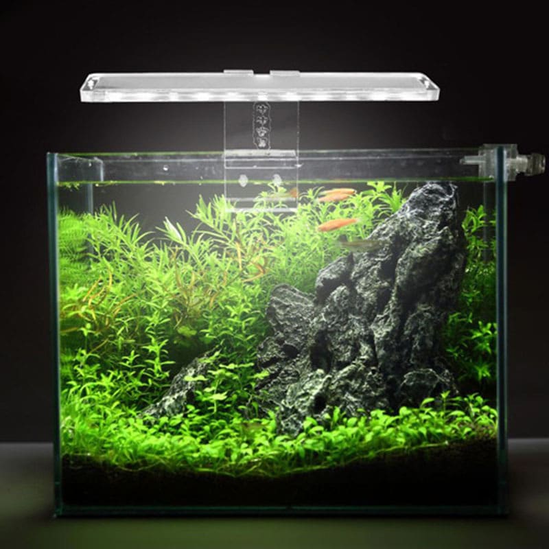 Lumière LED pour aquarium – Image 3