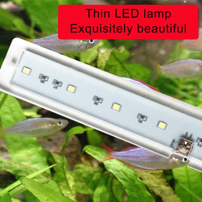 Lumière LED pour aquarium – Image 2