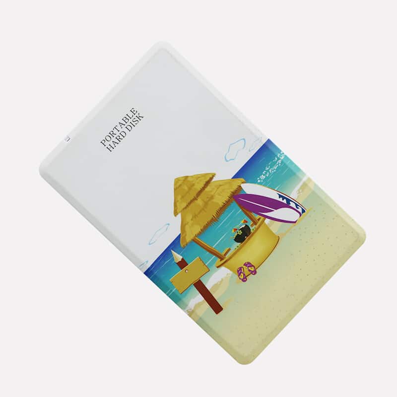 Disque dur mobile de 1To et 500Go à connecteur USB30. Disque dur mobile 250Go. Disque dur de 2To – Image 5
