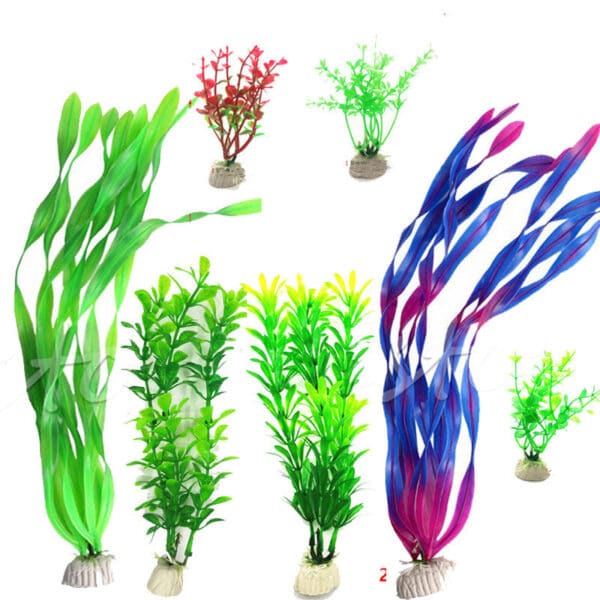 Plante aquatique. Décoration pour Aquarium – Image 2