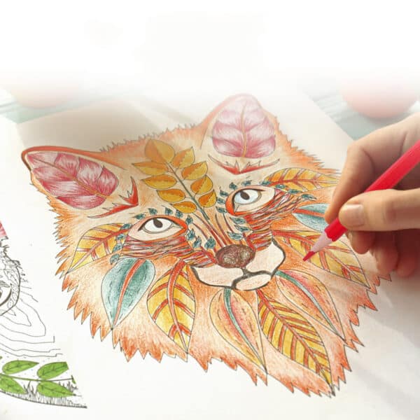 Crayon de couleur de dessin pour enfants – Image 2