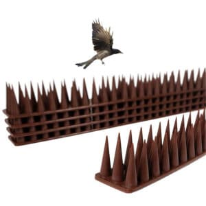 Épine d'oiseau en plastique