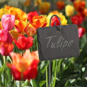 5 pièces/1 pc. Panneaux d’étiquette d'usine à ardoise noire