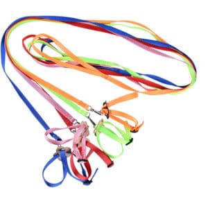 Corde de traction en 8 formes pour les petits animaux de compagnie