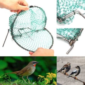 Capture d'oiseaux en maille de polyéthylène avec cadre en acier