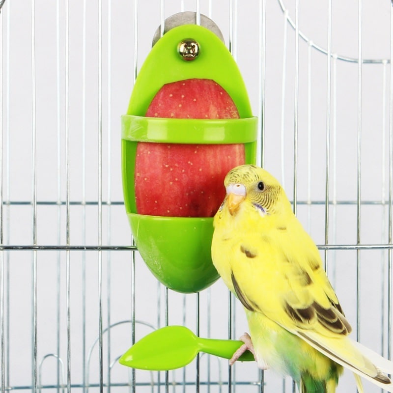 Boîte de nourriture pour perroquets et oiseaux. Support de nourritures pour oiseaux – Image 6