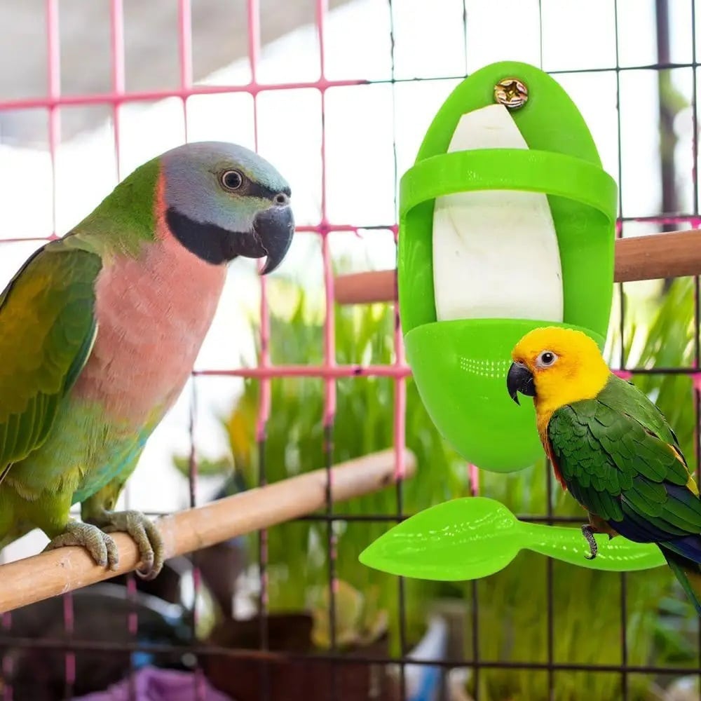 Boîte de nourriture pour perroquets et oiseaux. Support de nourritures pour oiseaux – Image 5
