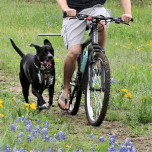 Outil de remorquage pour vélo avec promeneur de chien