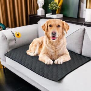 Tapis de chien imperméable à l’eau