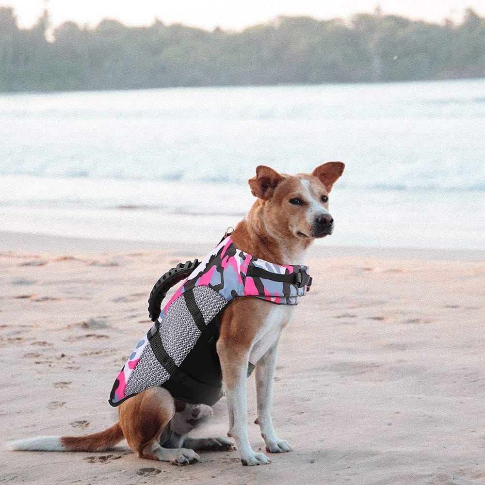 Vêtements de bain pour chiens