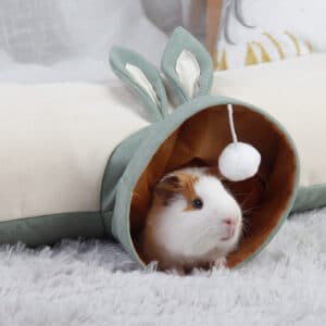 Fournitures pour chats
