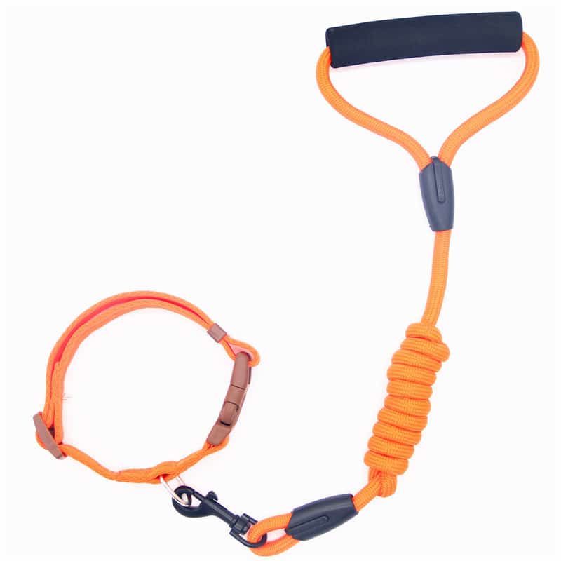 Collier pour chien en laisse pour animaux de compagnie. Laisse pour chien. Chaîne pour chien – Image 3