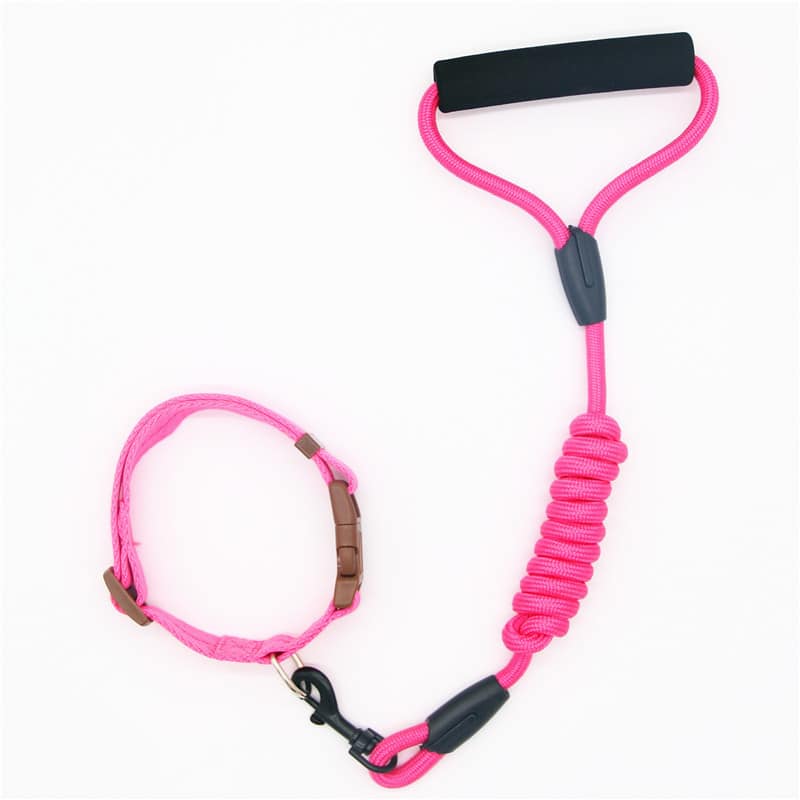 Collier pour chien en laisse pour animaux de compagnie. Laisse pour chien. Chaîne pour chien – Image 6