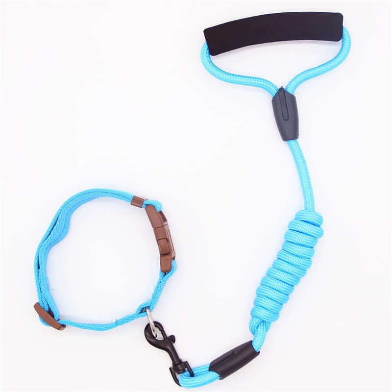 Collier pour chien en laisse pour animaux de compagnie. Laisse pour chien. Chaîne pour chien – Image 2