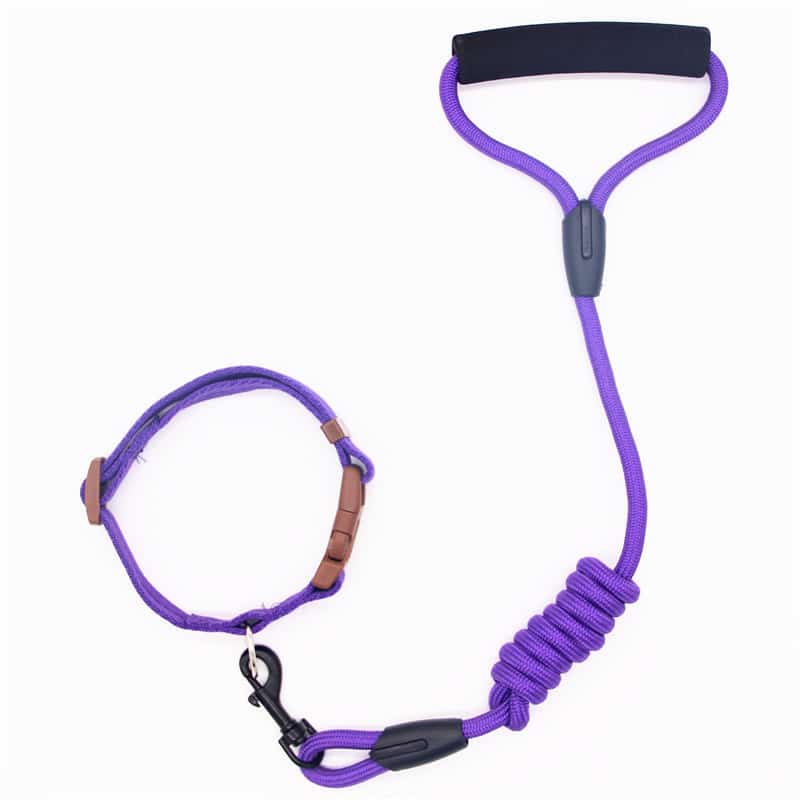 Collier pour chien en laisse pour animaux de compagnie. Laisse pour chien. Chaîne pour chien – Image 4