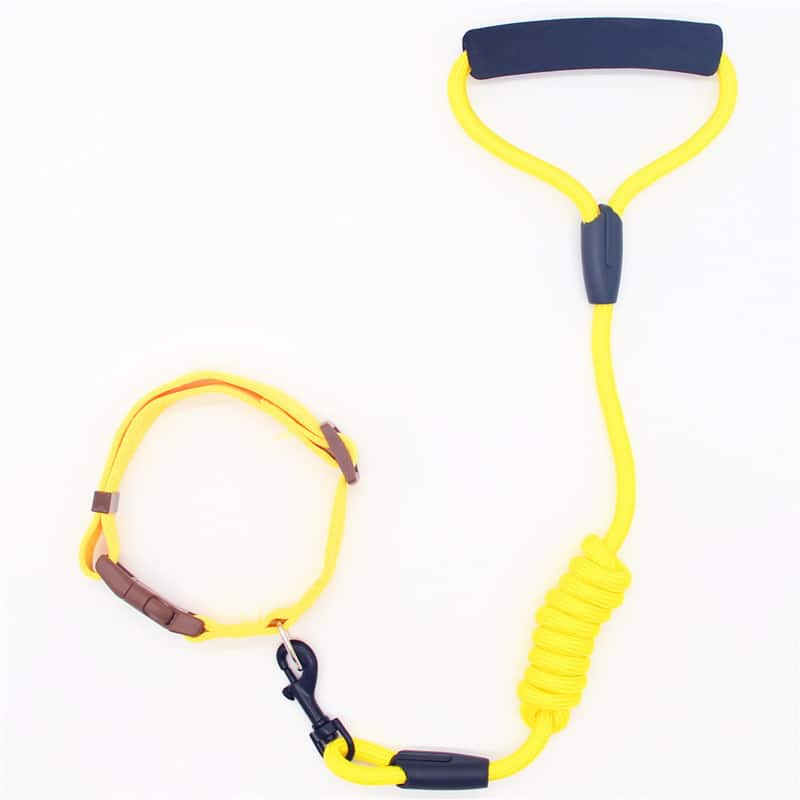 Collier pour chien en laisse pour animaux de compagnie. Laisse pour chien. Chaîne pour chien