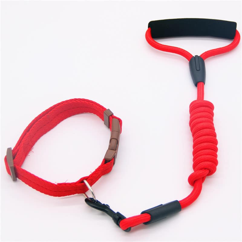 Collier pour chien en laisse pour animaux de compagnie. Laisse pour chien. Chaîne pour chien – Image 5