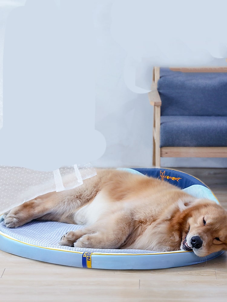 Tapis lavable pour chiens – Image 3