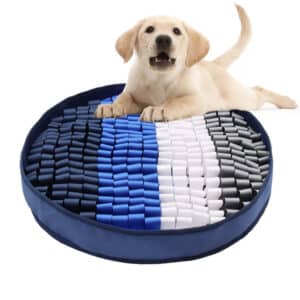 Pad pour chats et chiens