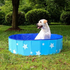 Baignoire pliante en PVC pour chiens
