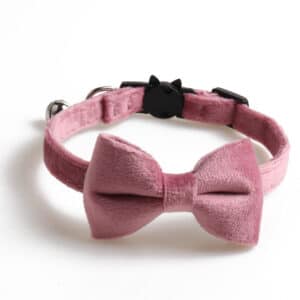 Collier à arc avec cloches pour chats