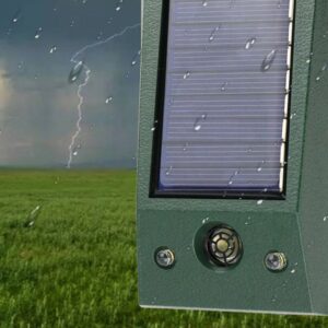 Lampe à énergie solaire pour chiens