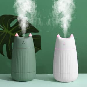 Humidificateur à pulvérisation pour chats