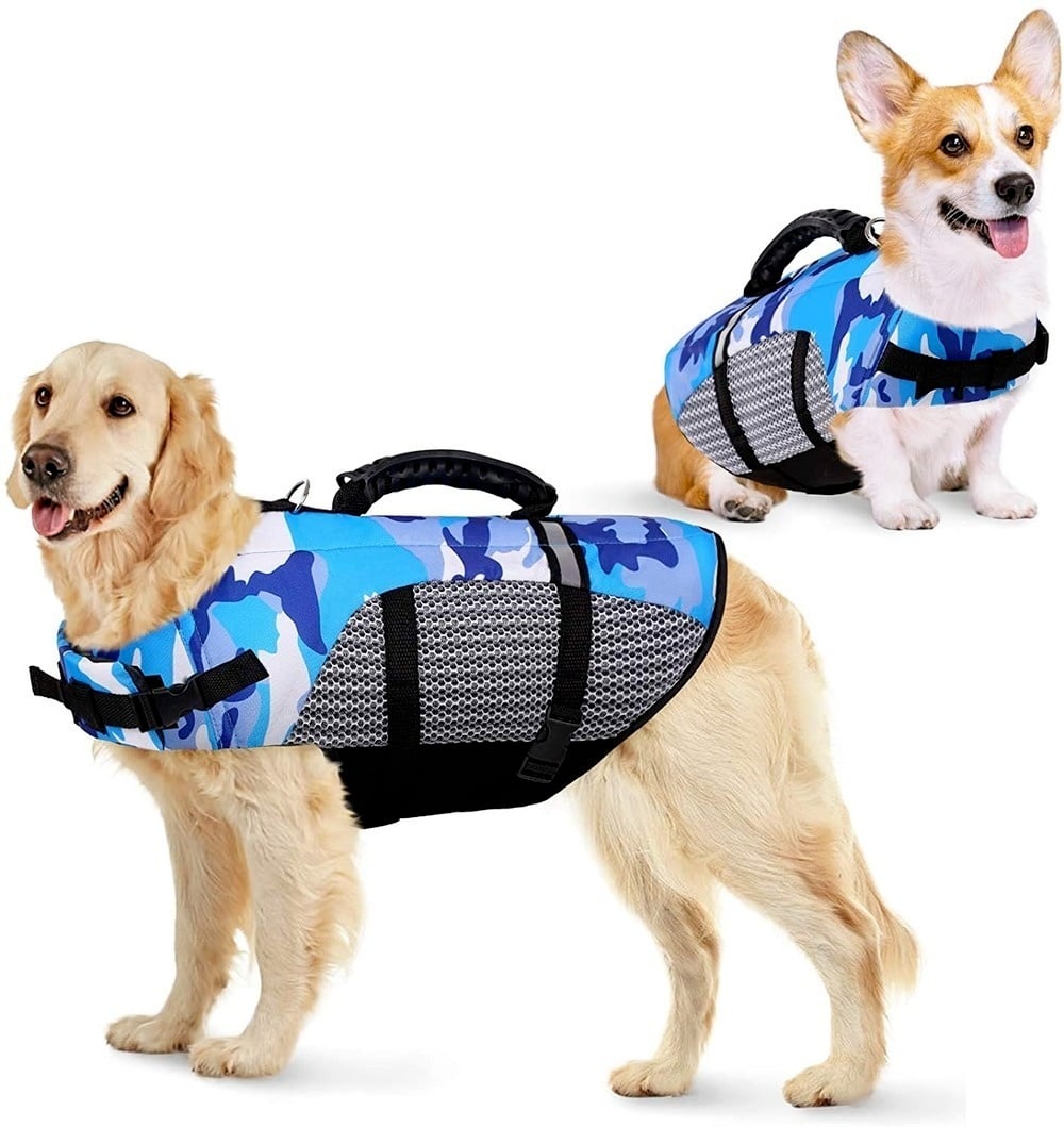 Vêtements de bain pour chiens – Image 2