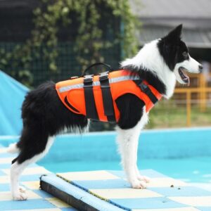 Gilet de sauvetage réfléchissant pour chiens