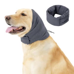 Fournitures pour animaux de compagnie