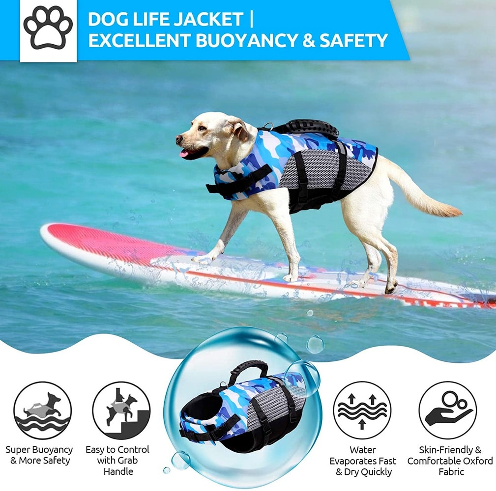 Vêtements de bain pour chiens – Image 4