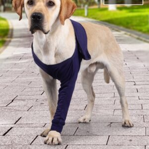 Manchon anti-léchage pour la récupération postopératoire des pattes de chien