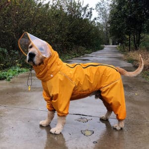 Manteau imperméable pour chiens