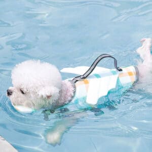Gilet de sauvetage pour chiens de petite, moyenne et grande taille