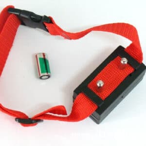 Outil électronique pour chiens de compagnie