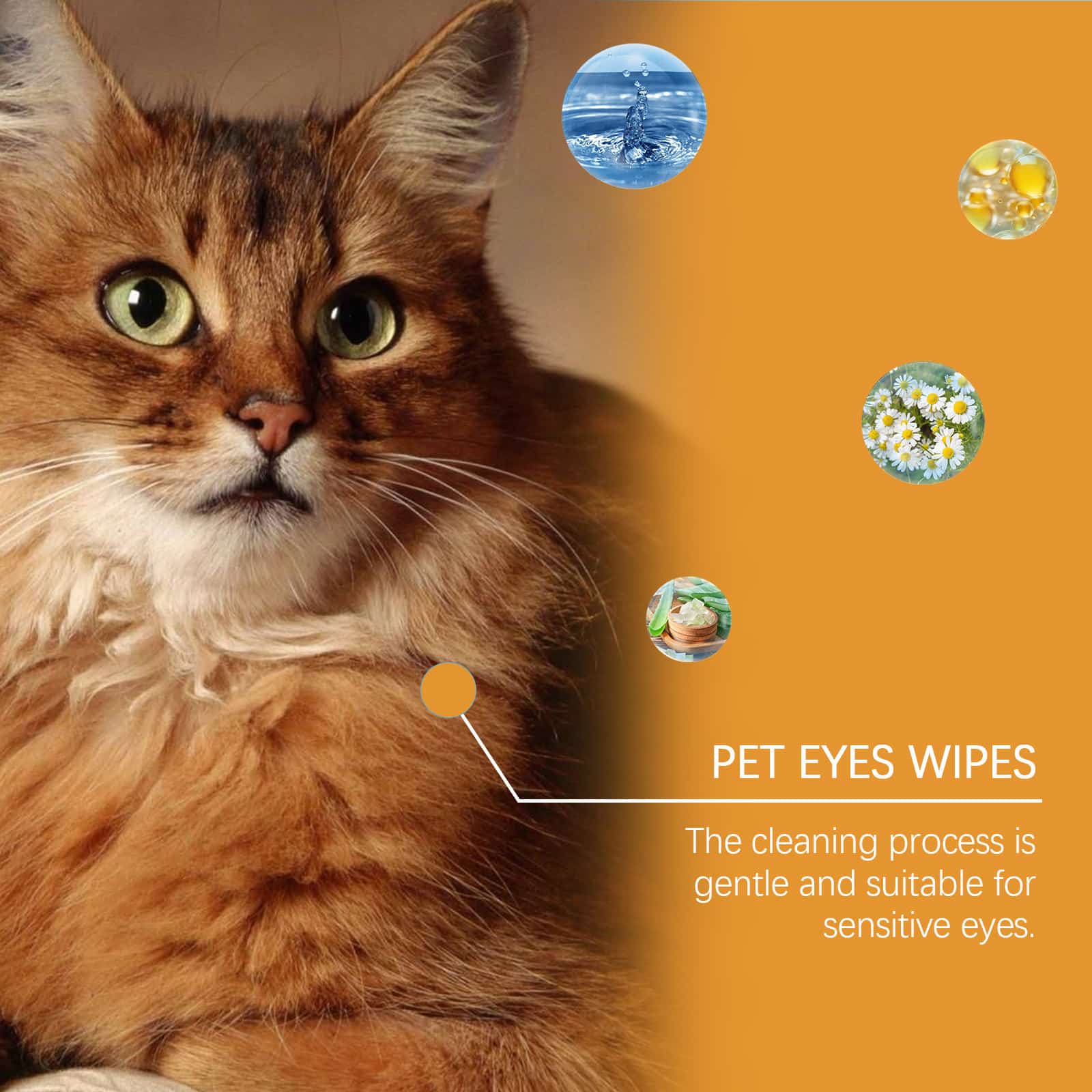 Lingettes humides pour les chiens – Image 5