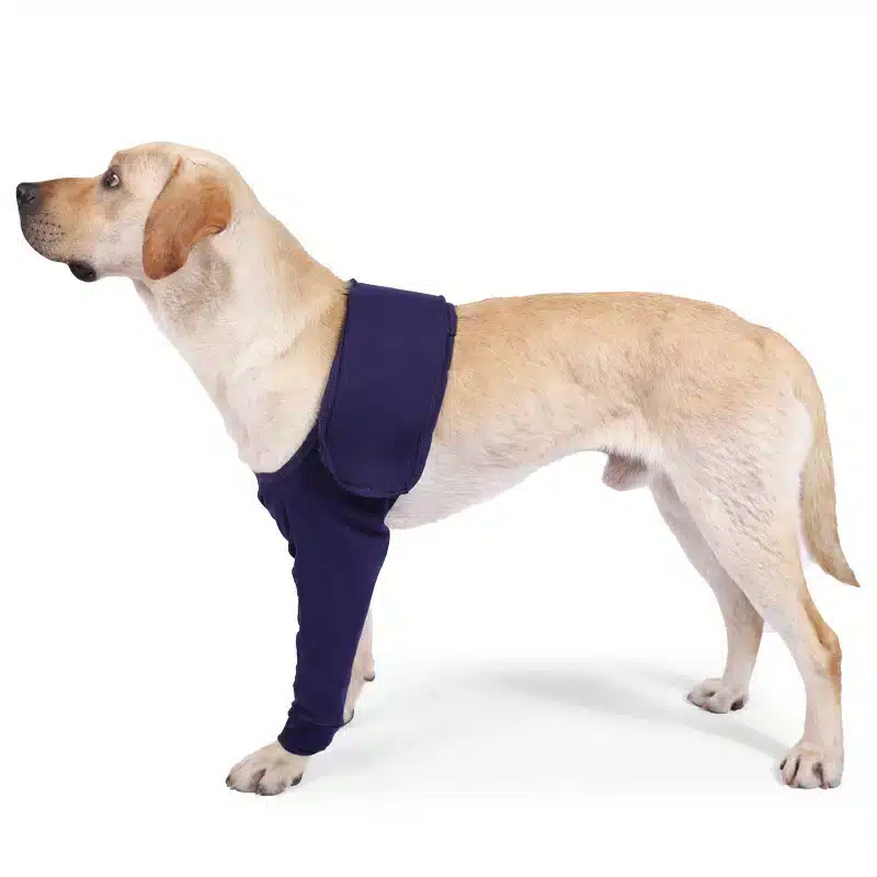 Manchon anti-léchage pour la récupération post-opératoire des pattes de chiens