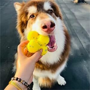 Balle de soutien émotionnel pour chiens