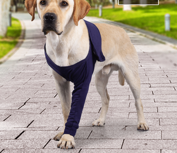 Manchon anti-léchage pour la récupération post-opératoire des pattes de chiens – Image 7