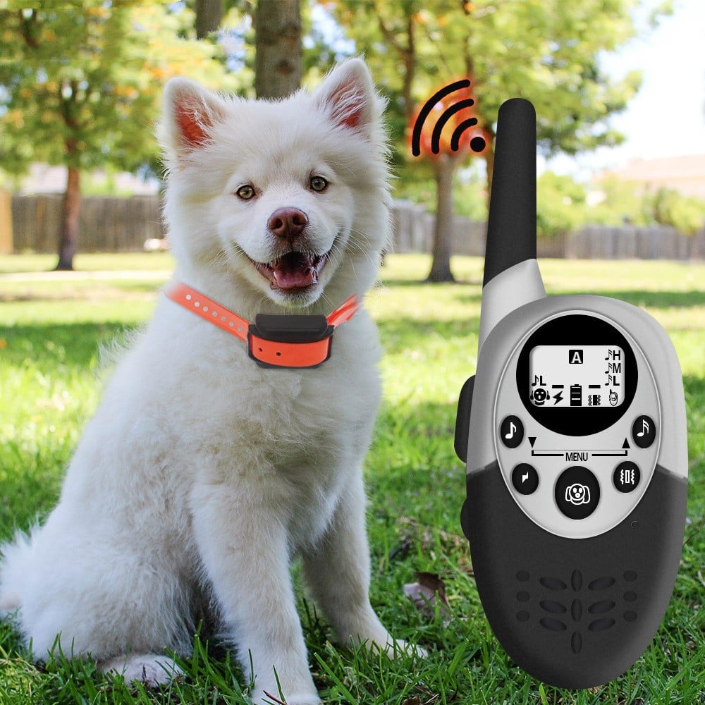 1000 mètres. Dresseur de chiens intelligent avec télécommande rechargeable – Image 6